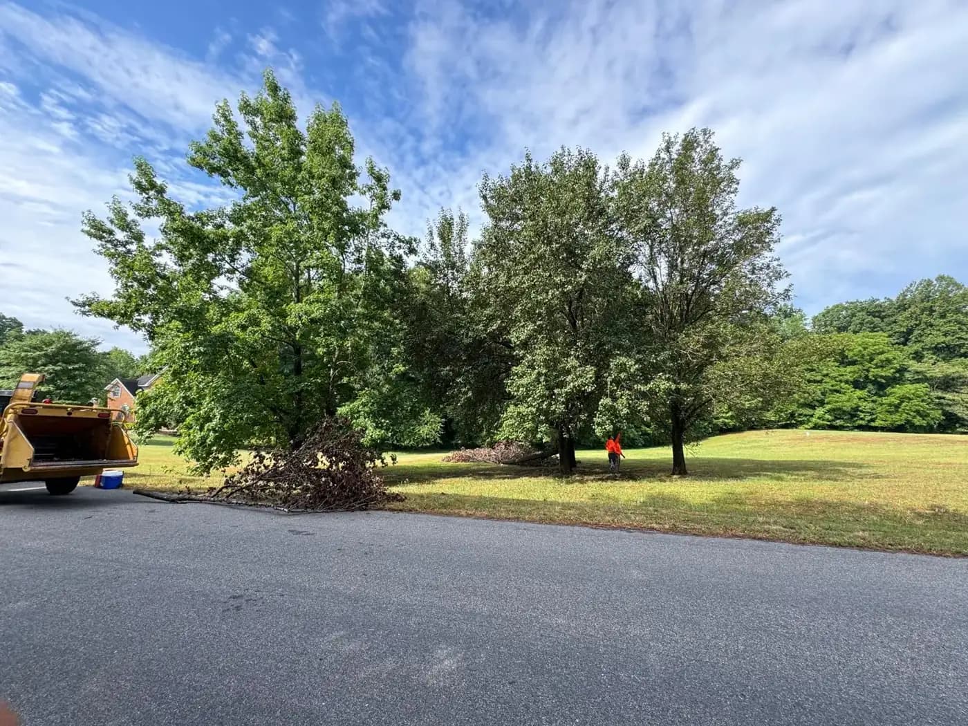 Tree crew trimming trees next to a wood chipper on a residential lawn